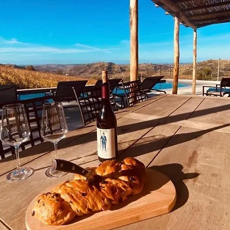 L'isolotto Vineyards&pool Dom wakacyjny